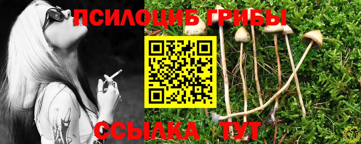 Псилоцибиновые грибы Magic Shrooms Энгельс