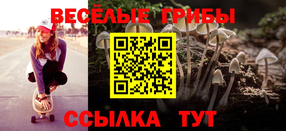 Псилоцибиновые грибы Psilocybine cubensis  Псилоцибиновые грибы мухоморы  купить   Энгельс  Вход с VPN 
